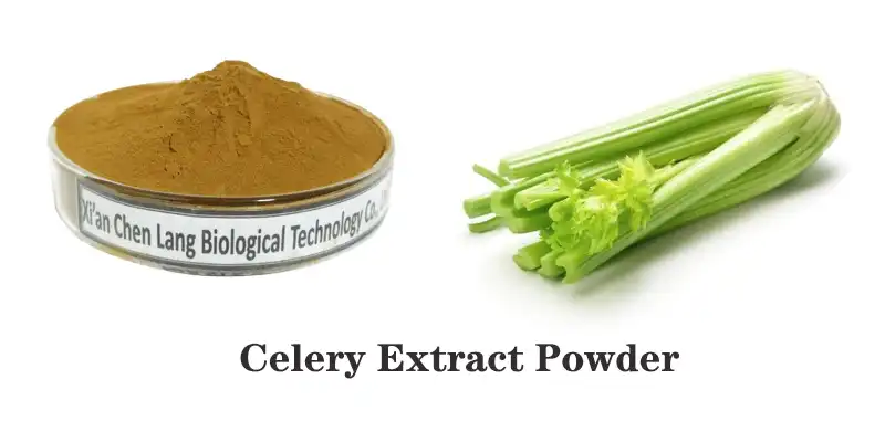 Celery Extract.jpg